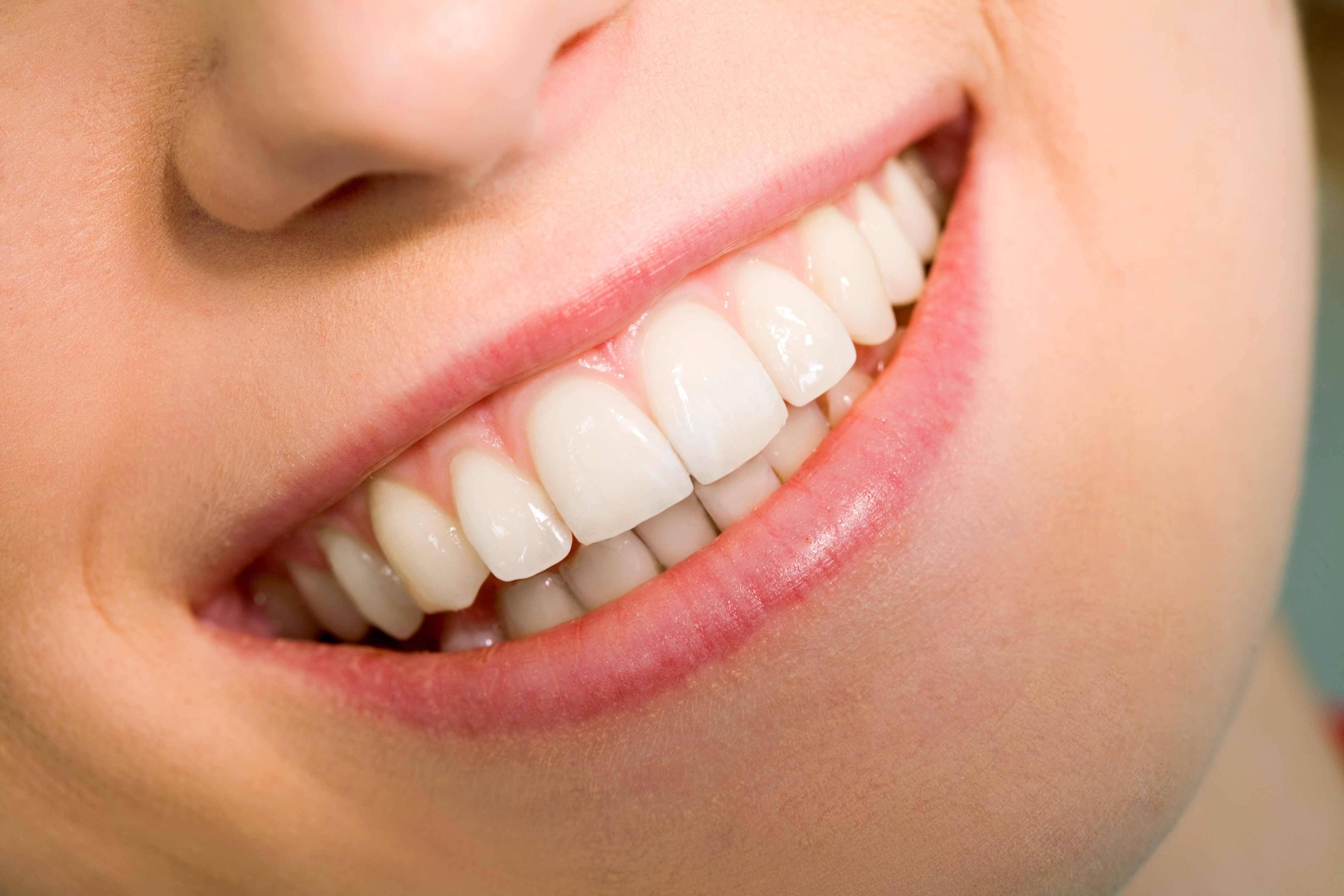 из чего состоят зубы человека?